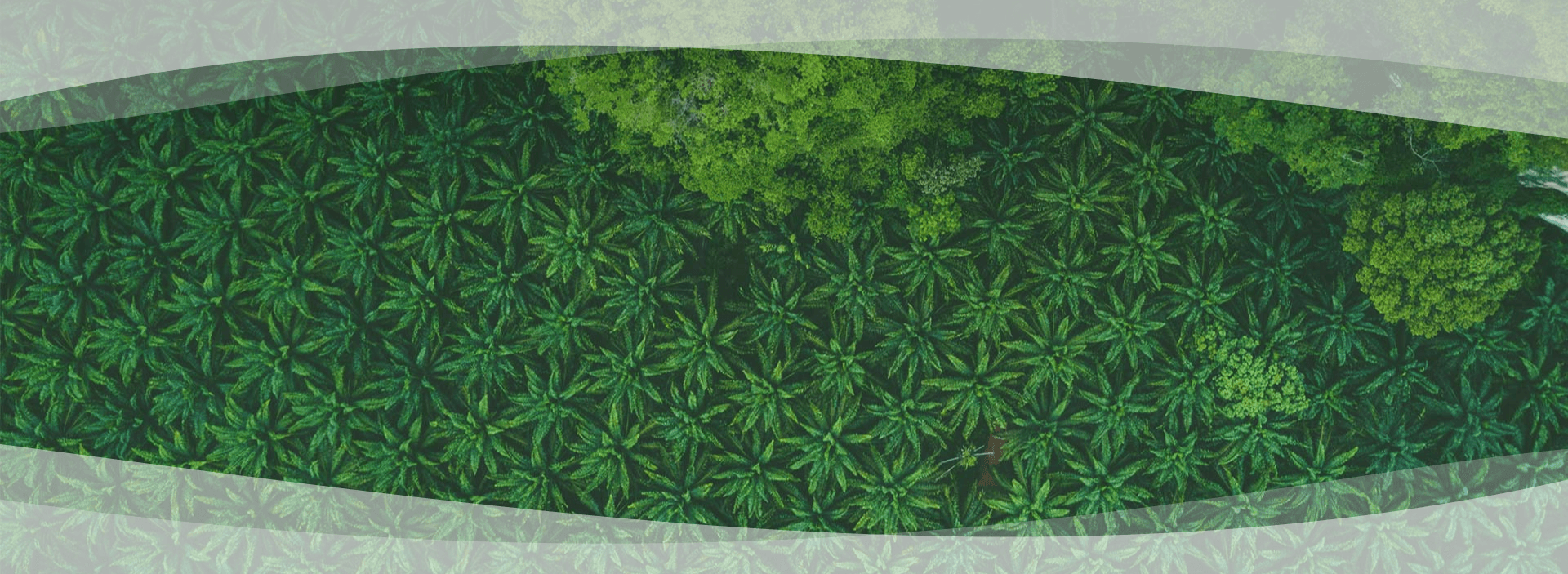 bg-image-hr