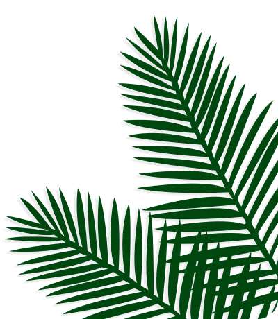 palm-kanan-bawah