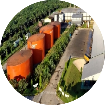 waste-management